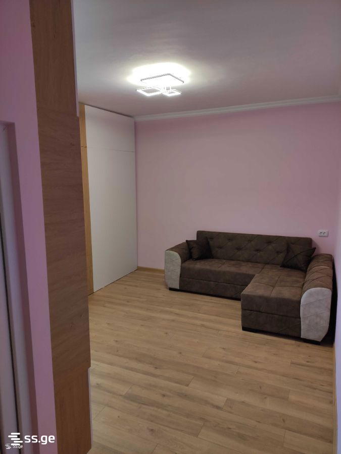 1 Room Flat For Rent. Kutaisi view 2