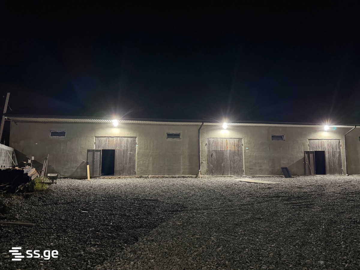 Store-Industrial Property For Rent. Rustavi view 5