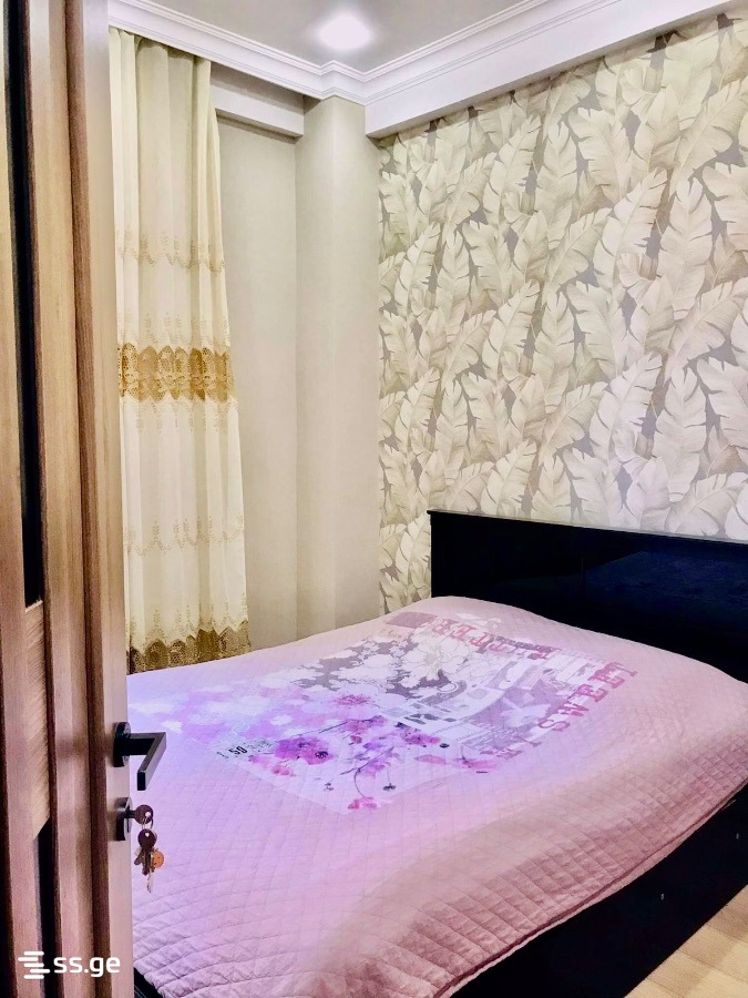 2 room Flat For Rent. Didi digomi - Widok 3