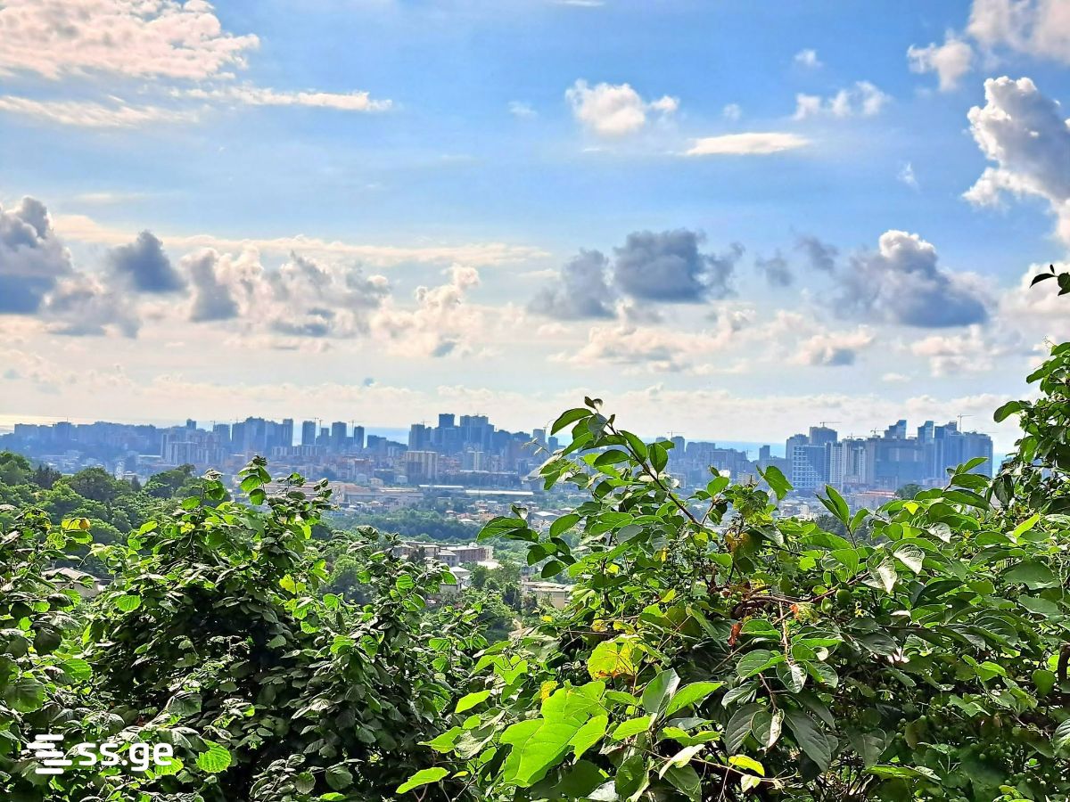 2 Room Private House For Rent. Batumi view 11