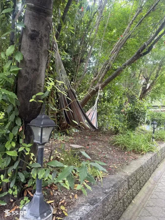 3 Room Private House For Rent. Vake view 10