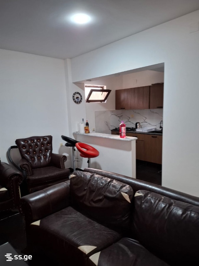 4 Room Private House Daily Rent. Shekvetili view 4