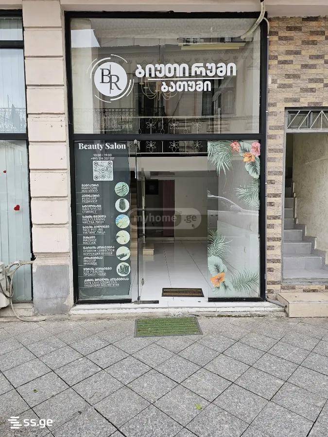 Commercial Real Estate For Rent. Batumi view 2
