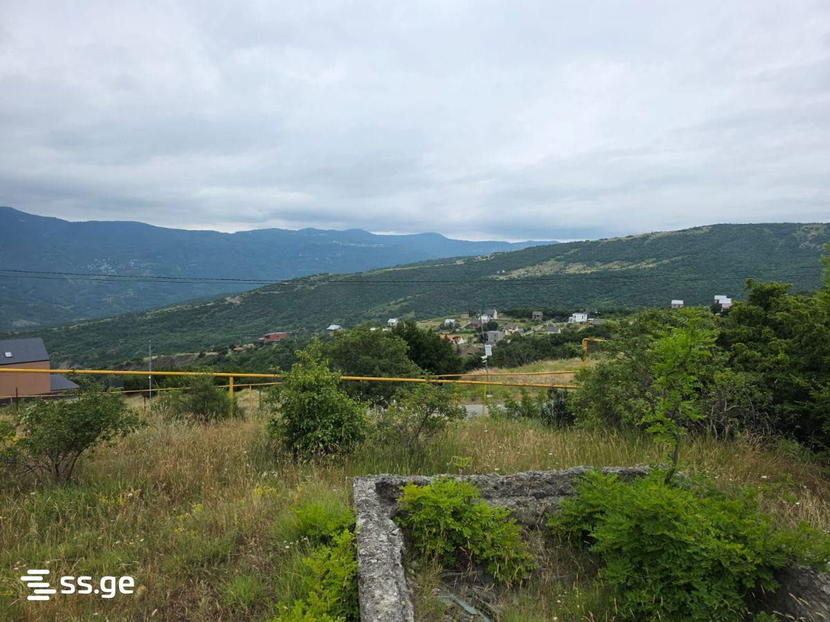 Land For Sale. Napetvrebi view 3