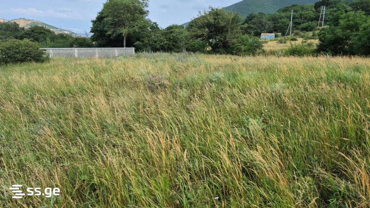 Land For Sale. Tsodoreti view 12