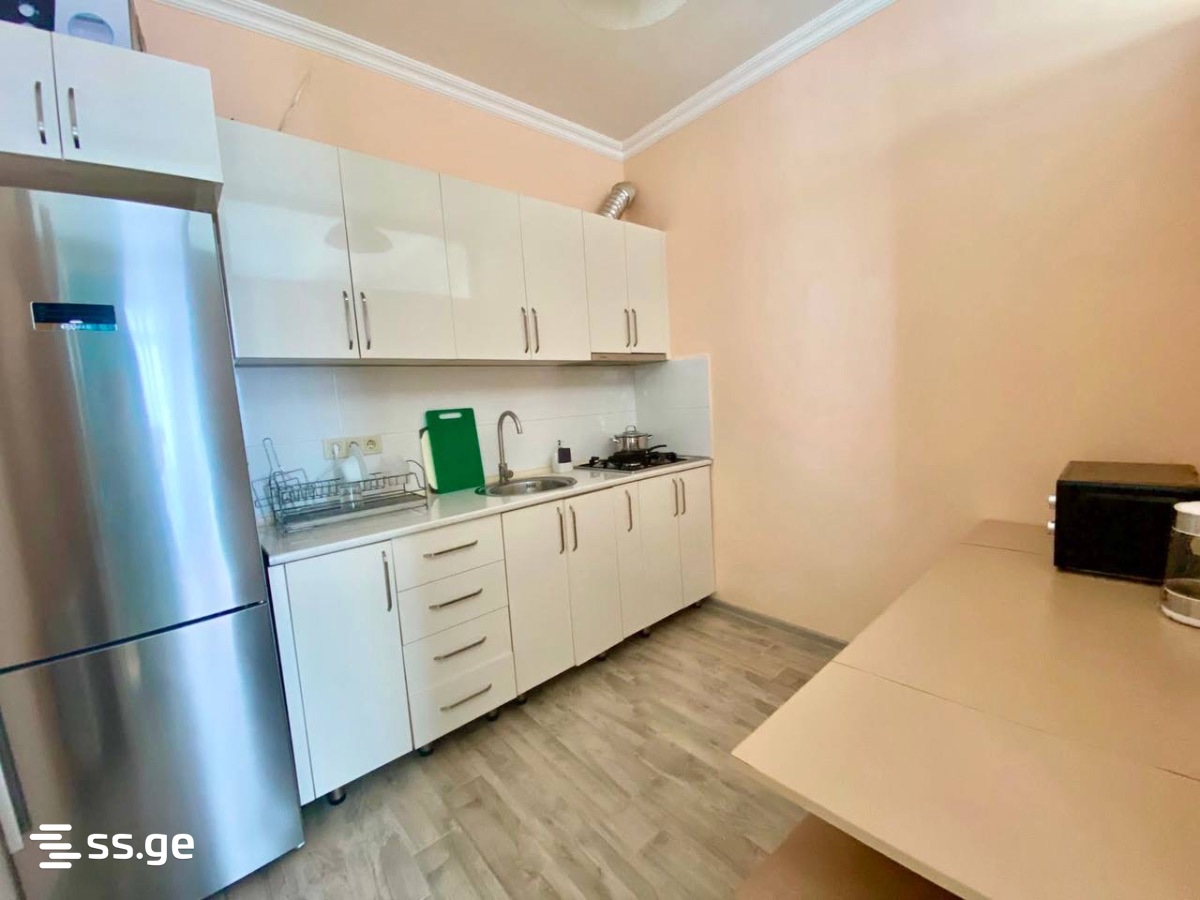 2 Room Flat For Rent. Makhindjauri view 2