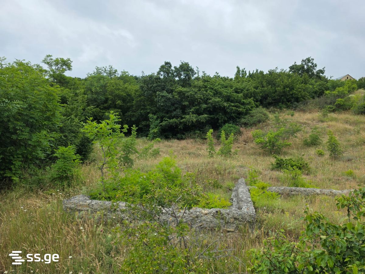 Land For Sale. Napetvrebi view 2