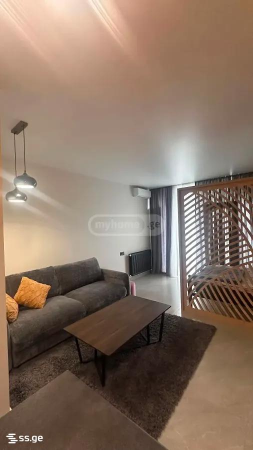 1 Room Flat For Rent. Batumi view 3