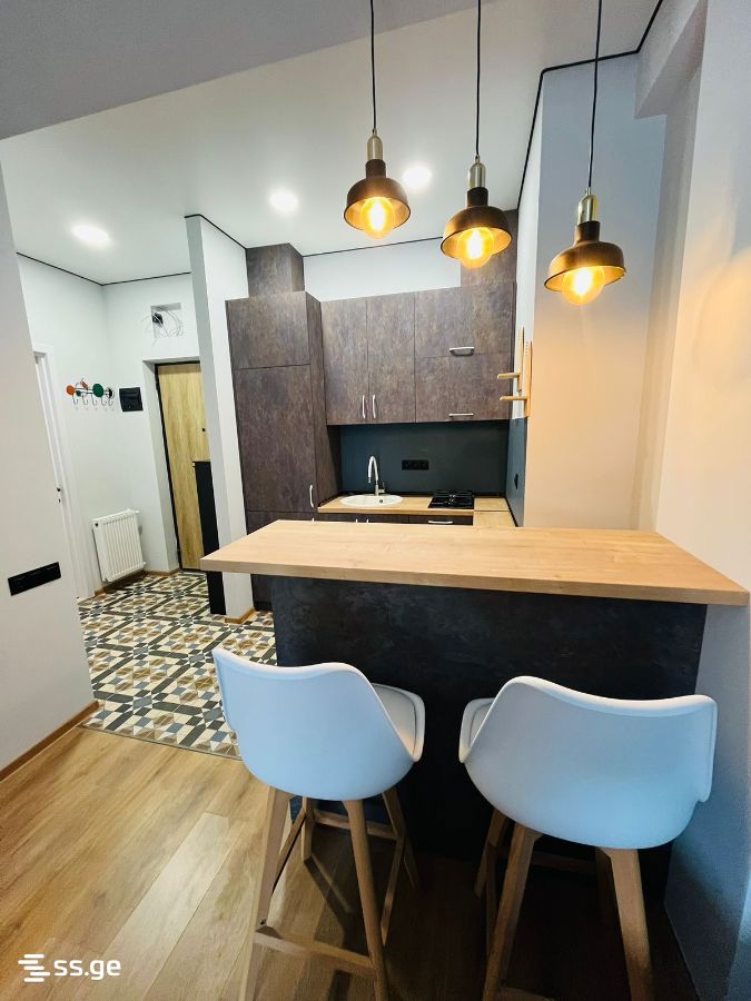 2 Room Flat For Rent. Digomi view 10