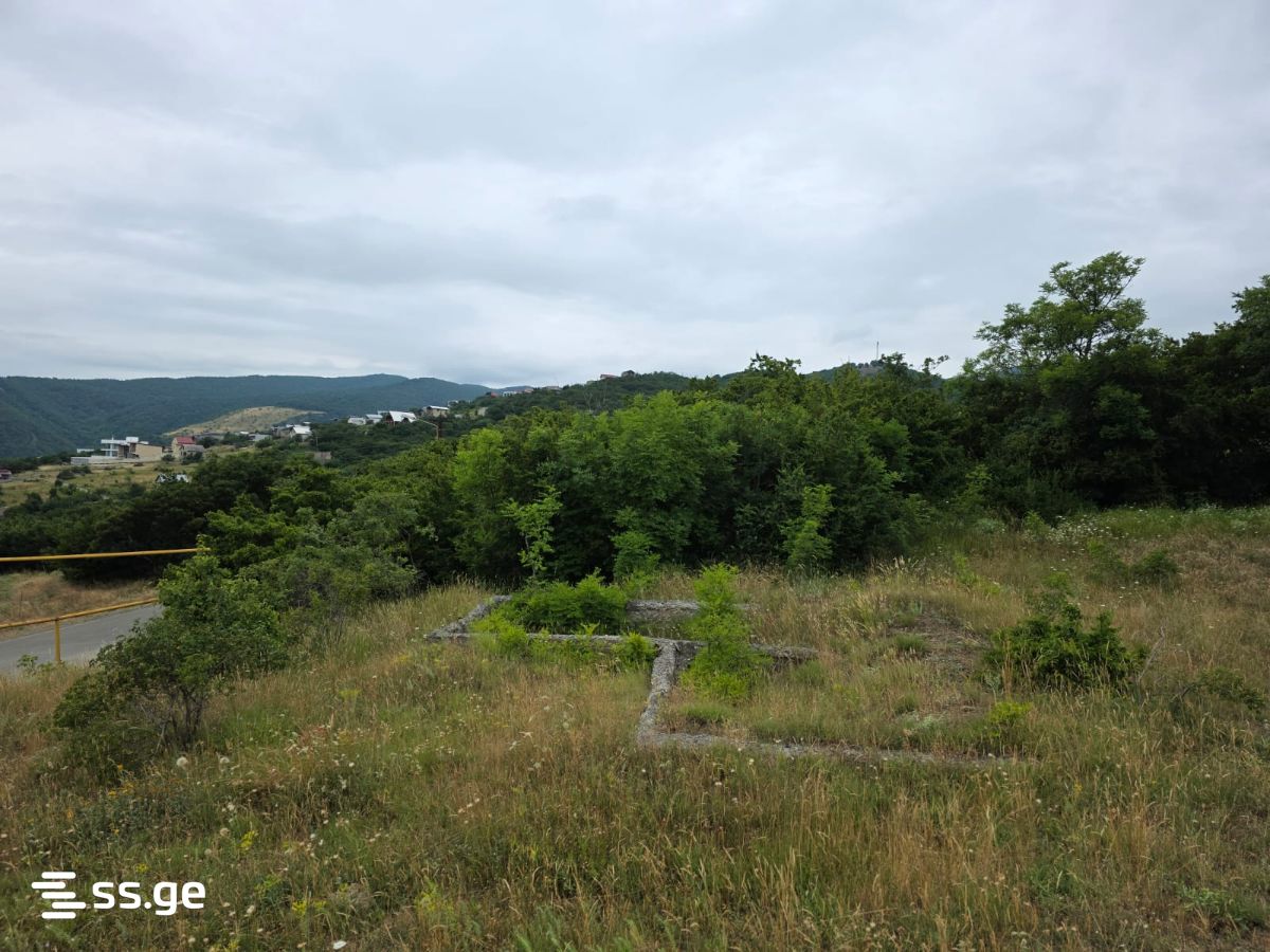 Land For Sale. Napetvrebi view 4