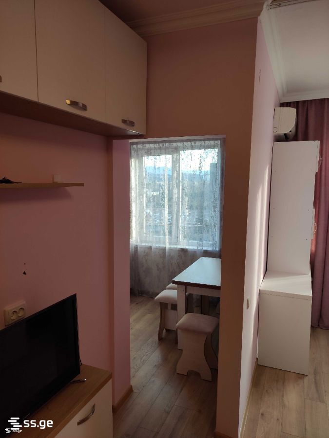 1 Room Flat For Rent. Kutaisi view 6