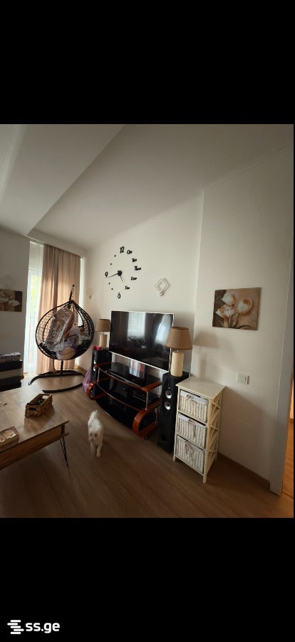 2 Room Flat For Rent. Samgori view 8