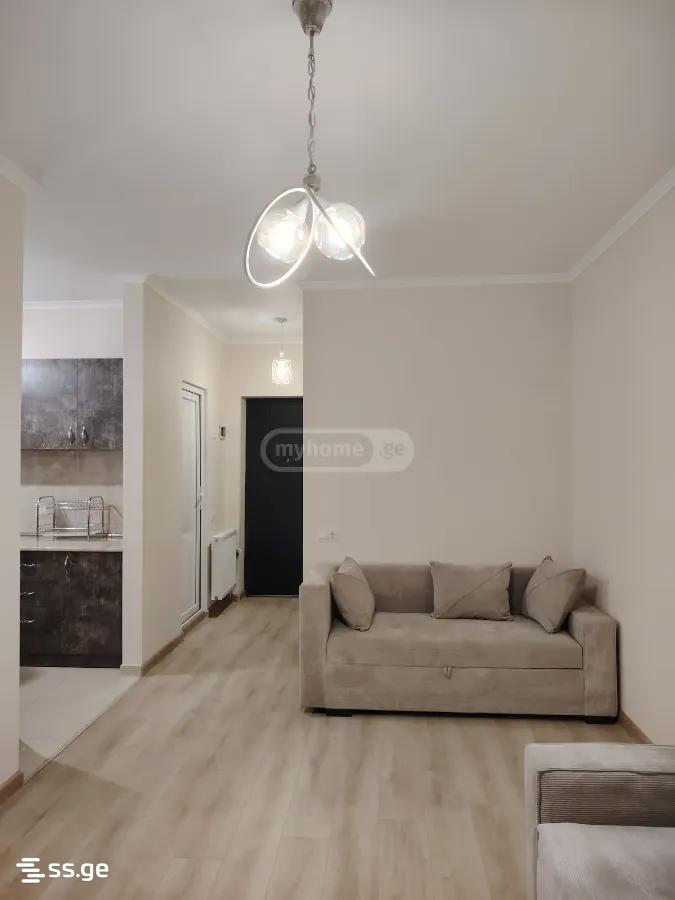 2 Room Flat For Rent. Samgori view 2