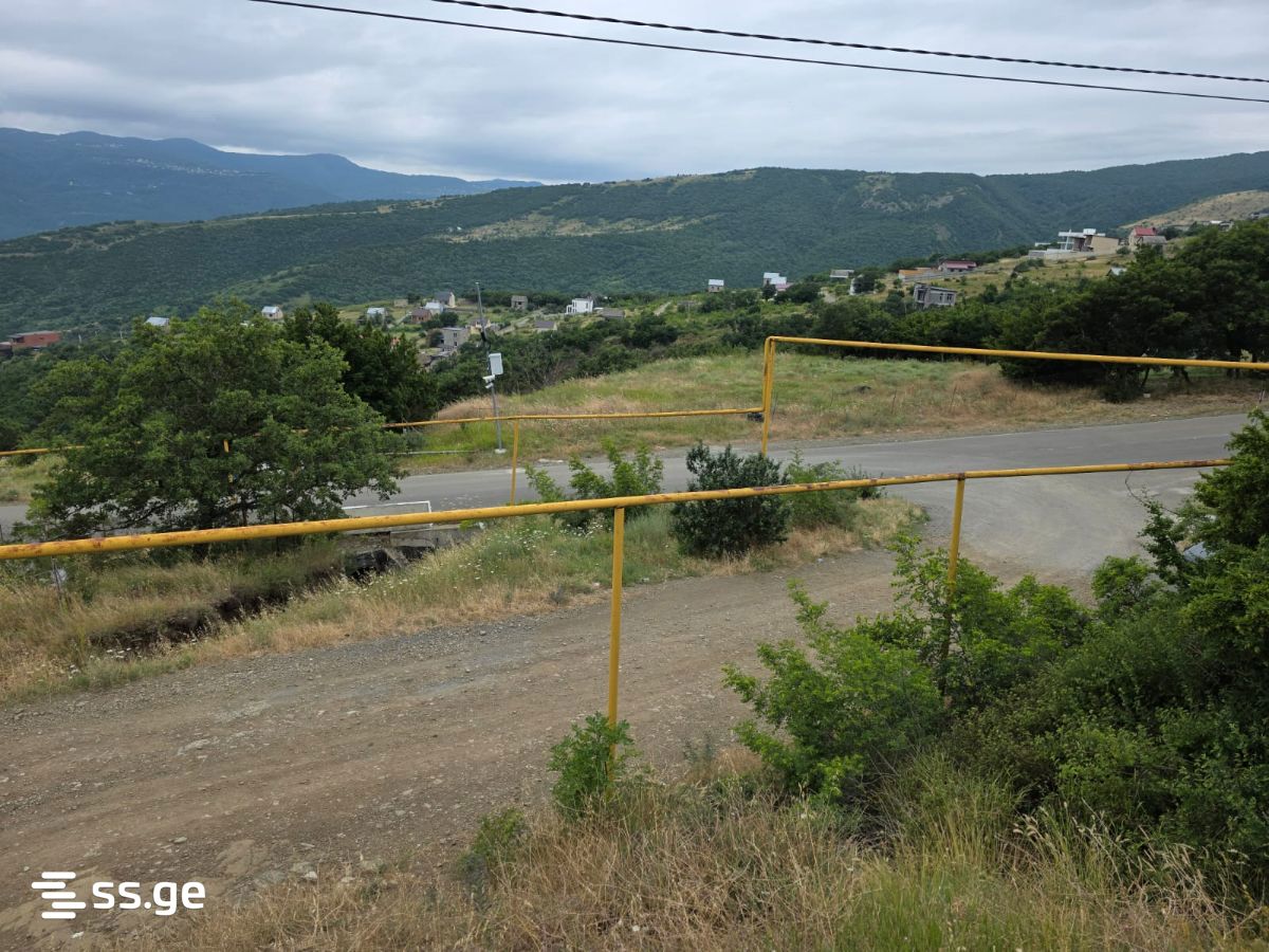 Land For Sale. Napetvrebi view 1
