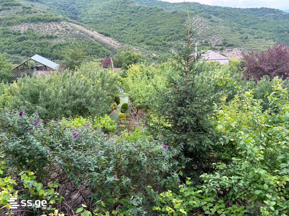 იყიდება 5-ოთახი Summer Cottage view 2