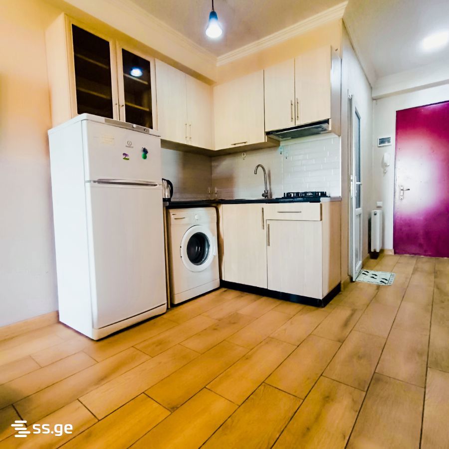2 Room Flat Daily Rent. Chugureti view 11