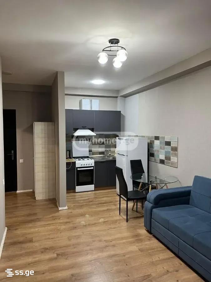 2 room Flat For Rent. Didube - Widok 3