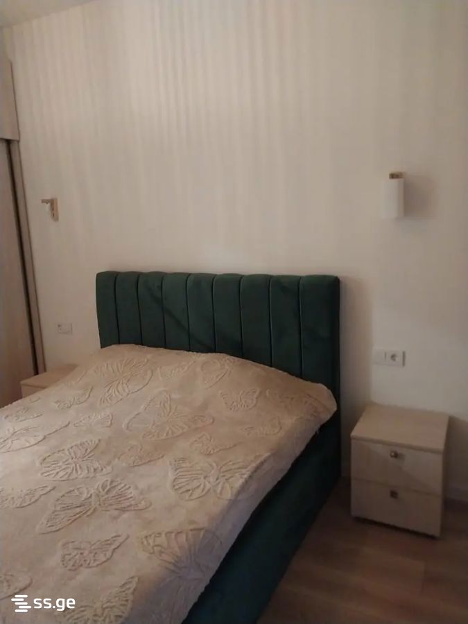 2 Room Flat For Rent. Varketili view 2