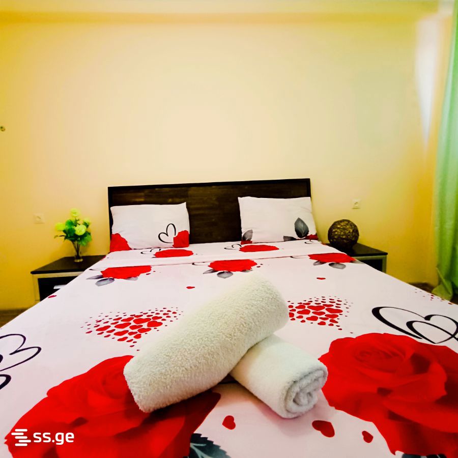 3 Room Flat Daily Rent. Chugureti view 10