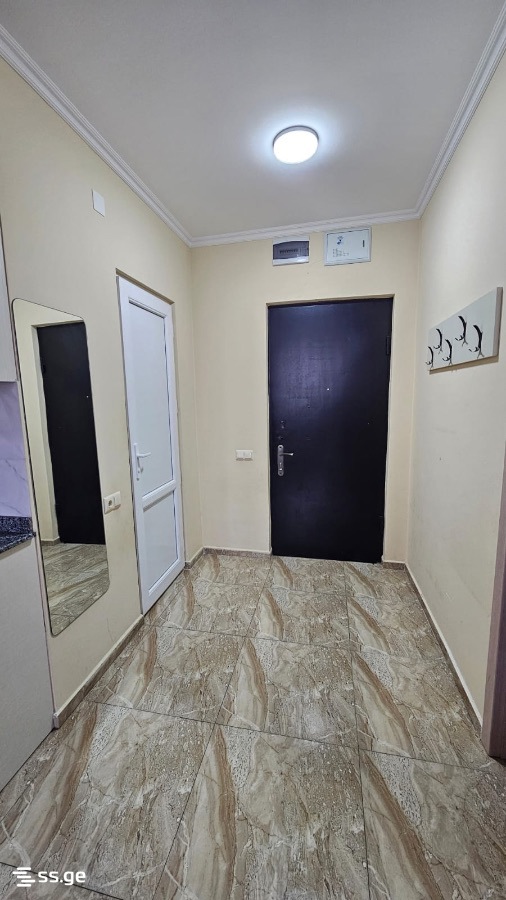 3 Room Flat For Rent. Sololaki view 8