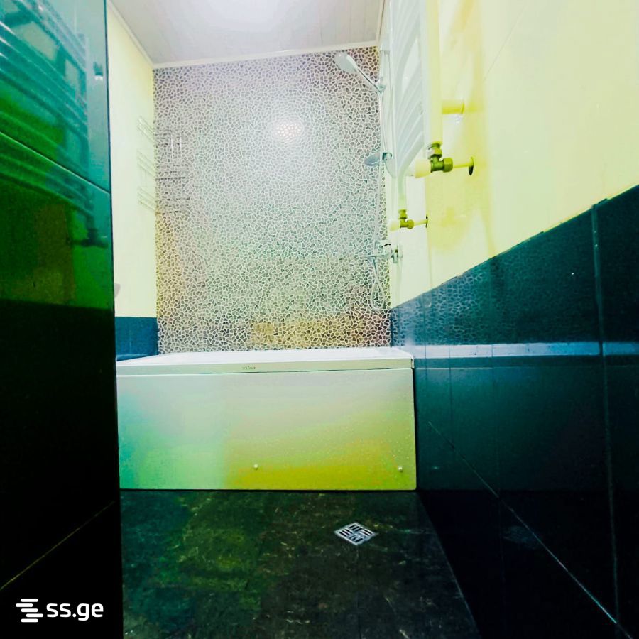 3 Room Flat Daily Rent. Chugureti view 6