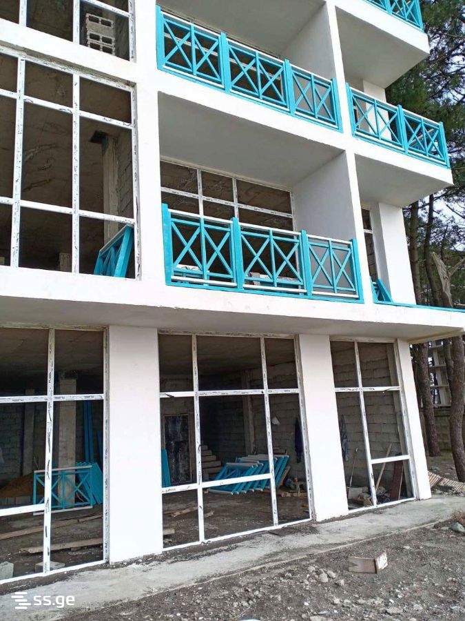 Private House For Sale. Grigoleti view 8