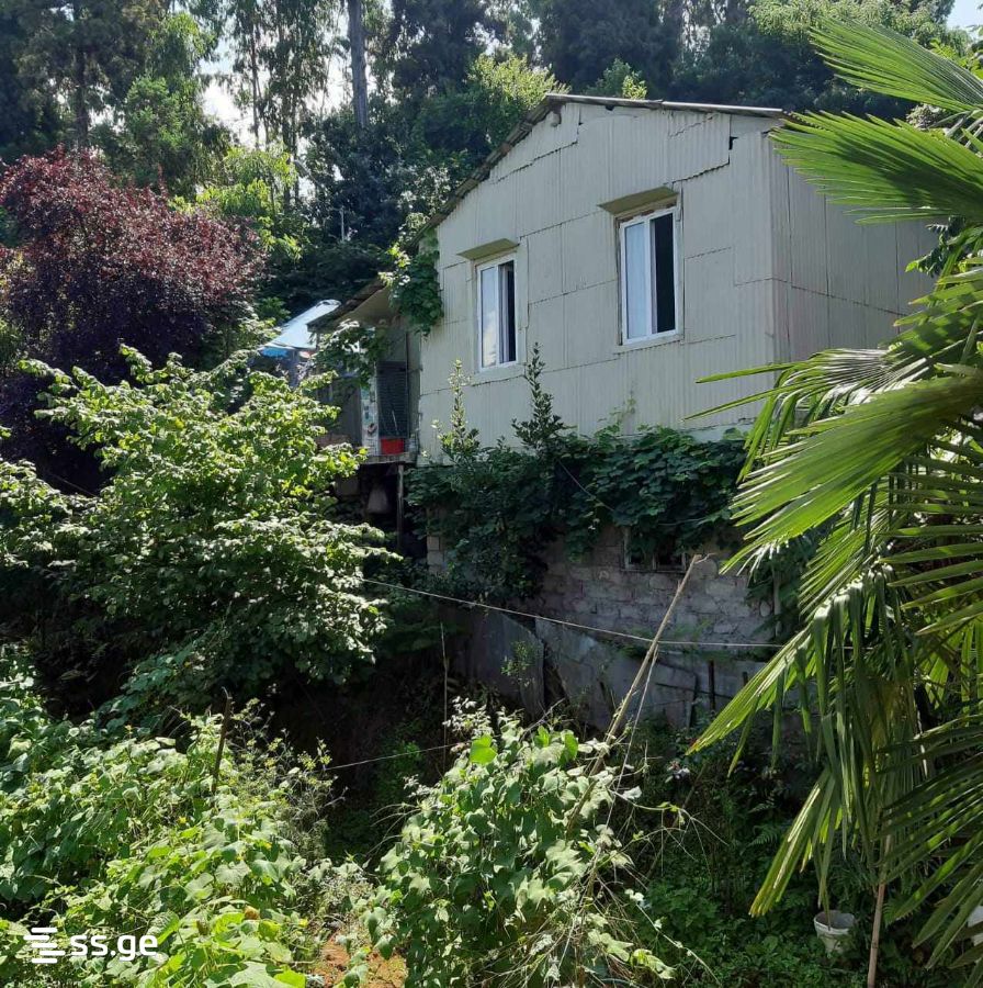 3 Room Private House Daily Rent. Makhindjauri view 12