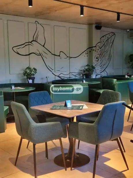 https://static.ss.ge/20260719/1_379215e1-9bc7-4598-9896-a768800b2d8e_Thumb.jpg