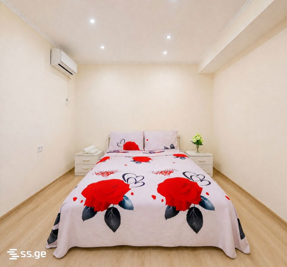 3 Room Flat Daily Rent. Chugureti view 8