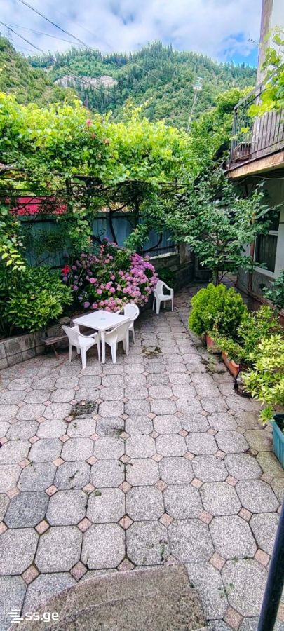 1 Room Private House For Rent. Borjomi view 3