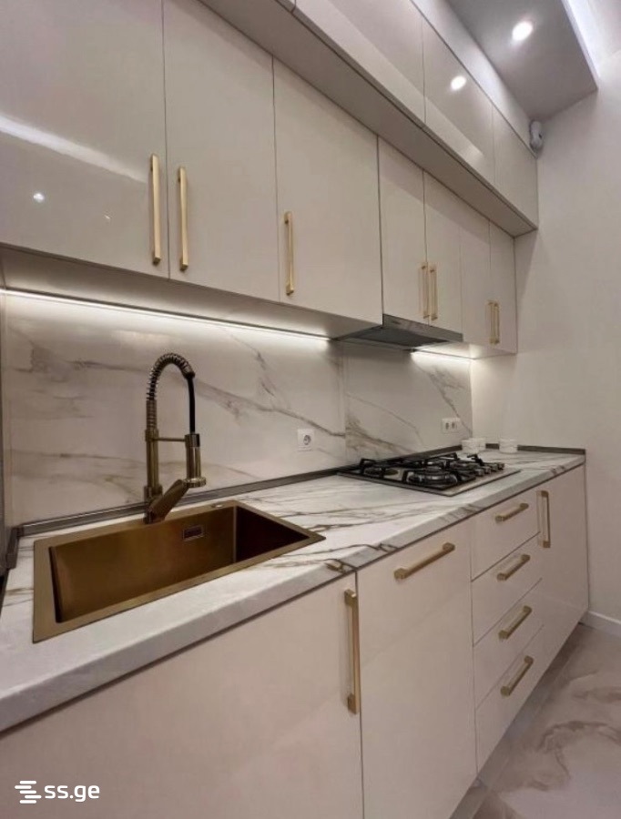 2 room Flat For Rent. Nadzaladevi – pohled 2
