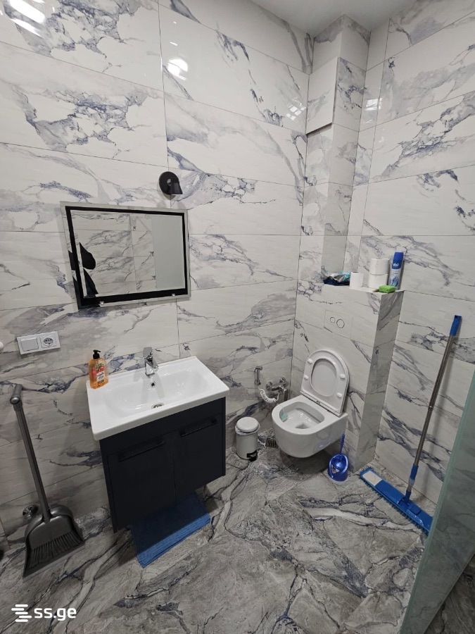 3 room Flat For Rent. Isani - Widok 3