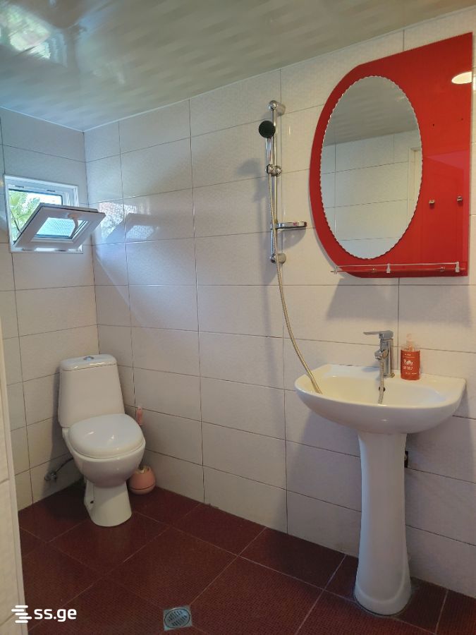1 Room Private House For Rent. Borjomi view 10