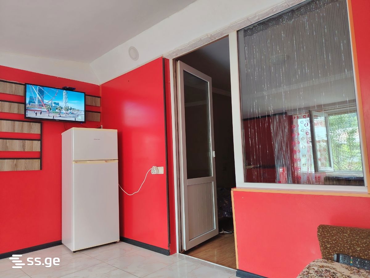 1 Room Private House For Rent. Borjomi view 6