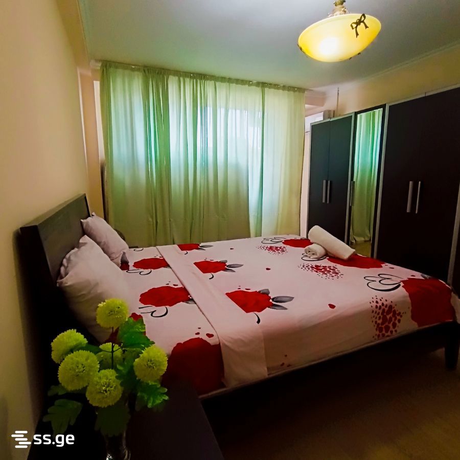 3 Room Flat Daily Rent. Chugureti view 9