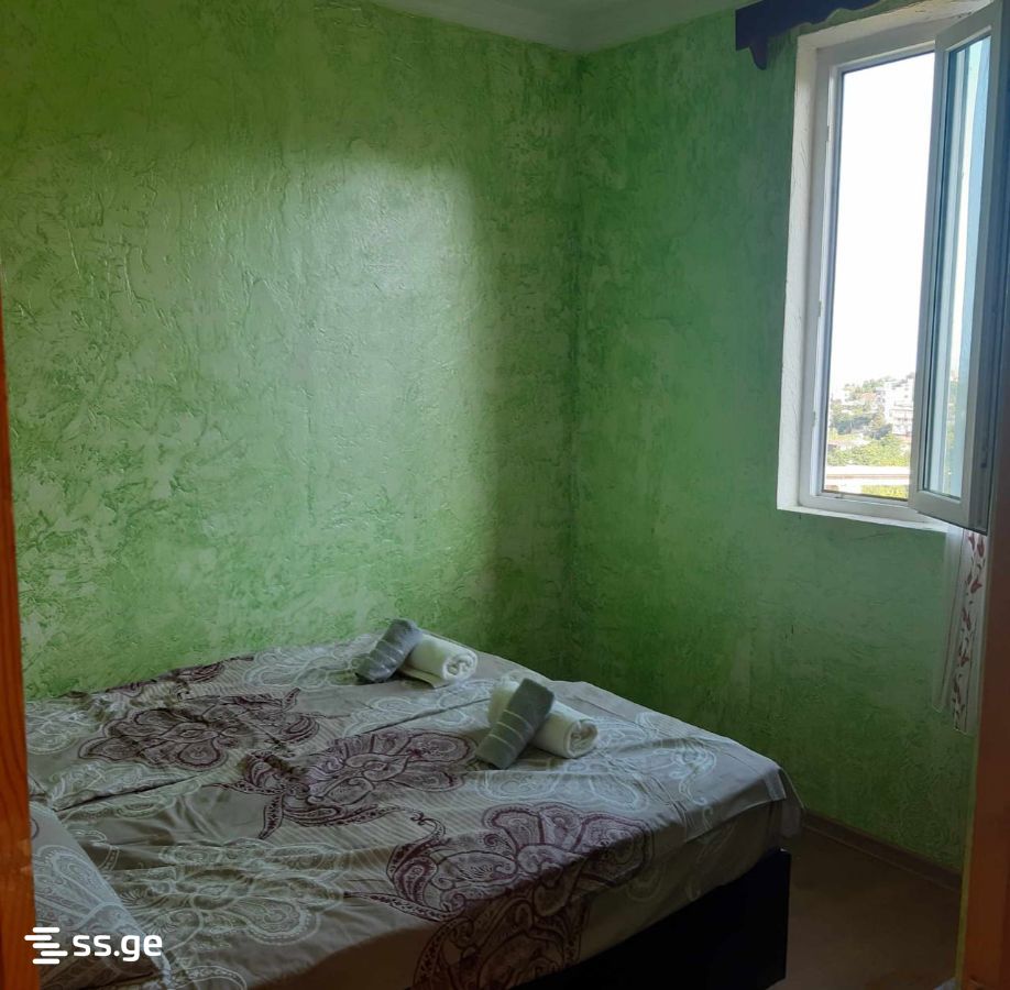 3 Room Private House Daily Rent. Makhindjauri view 3