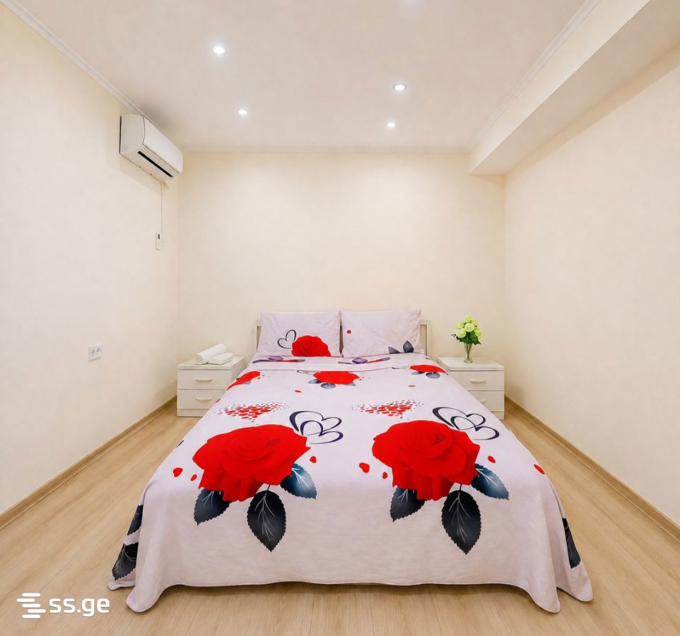 3 Room Flat Daily Rent. Chugureti view 7