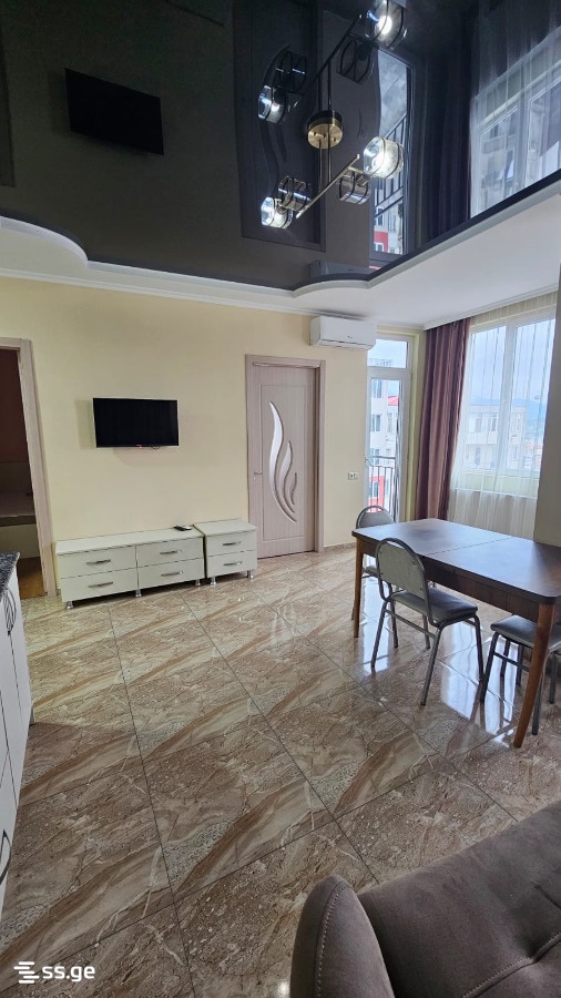 3 Room Flat For Rent. Sololaki view 3