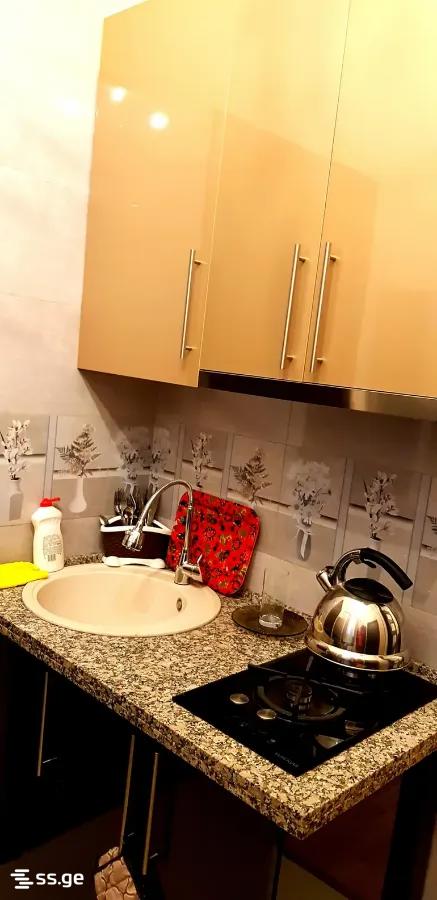 2 room Flat For Rent. Mtatsminda - Ansicht 3