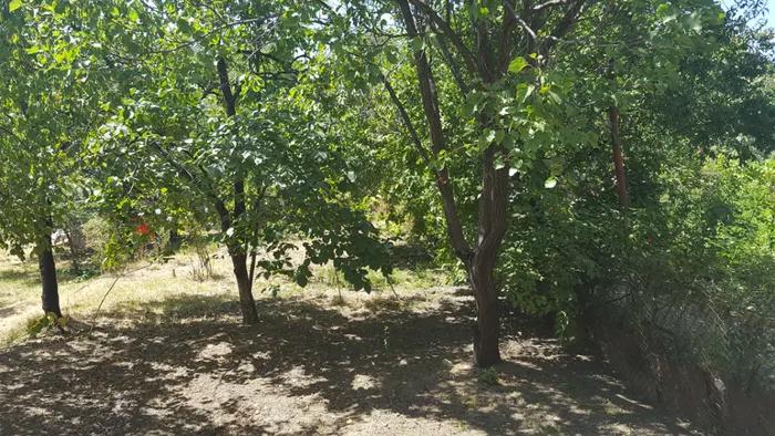 https://static.ss.ge/20260720/10_402d2106-2ee0-461a-bd26-6a380453b2c2_Thumb.jpg