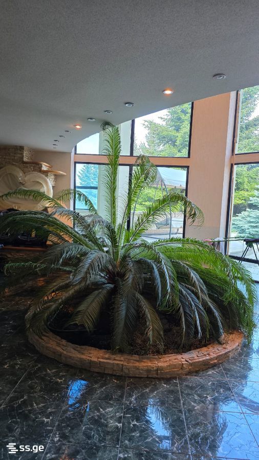 8 Room Summer Cottage For Sale view 5