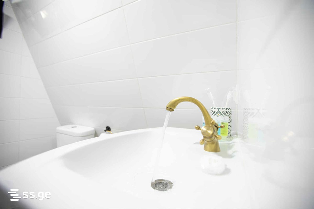 2 Room Summer Cottage Daily Rent. Kutaisi view 3