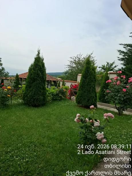 https://static.ss.ge/20260720/3_4271bf62-653d-45e1-b6f6-239ad31cafda_Thumb.jpg