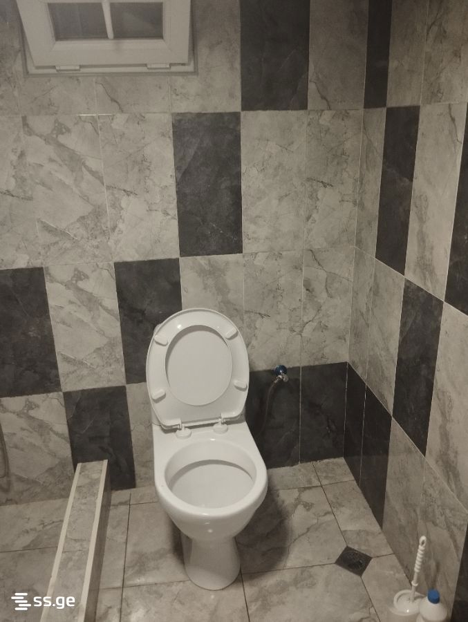 5 Room Private House Daily Rent. Kutaisi view 11
