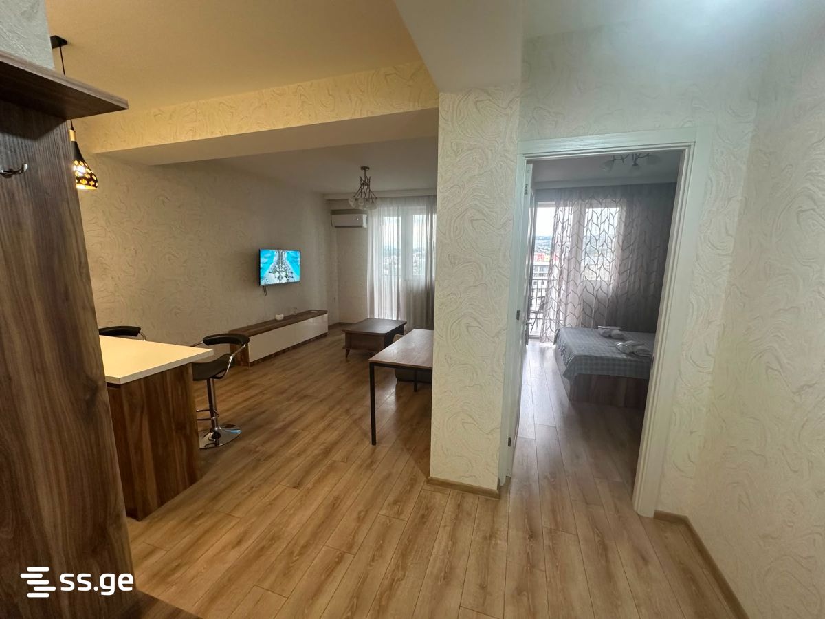 2 room Flat Daily rent. Isani - Bild 5
