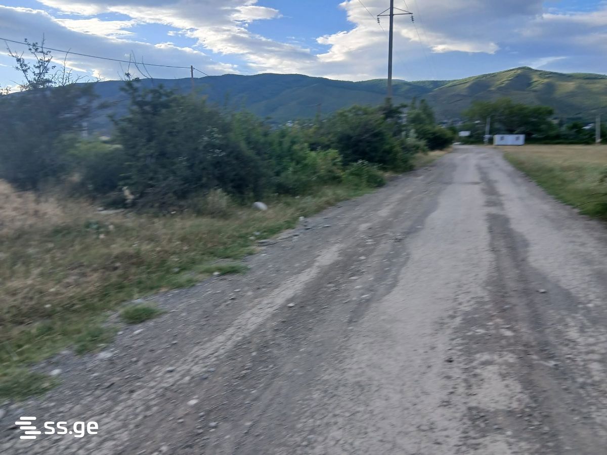 Land For Sale. Natakhtari view 4