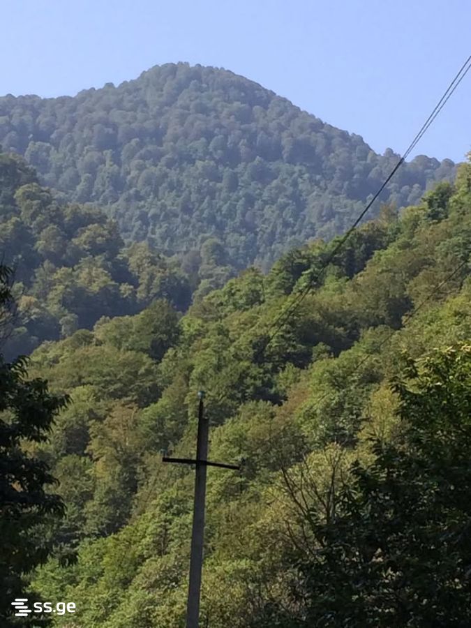 3 Room Summer Cottage Daily Rent. Chaqvi view 2