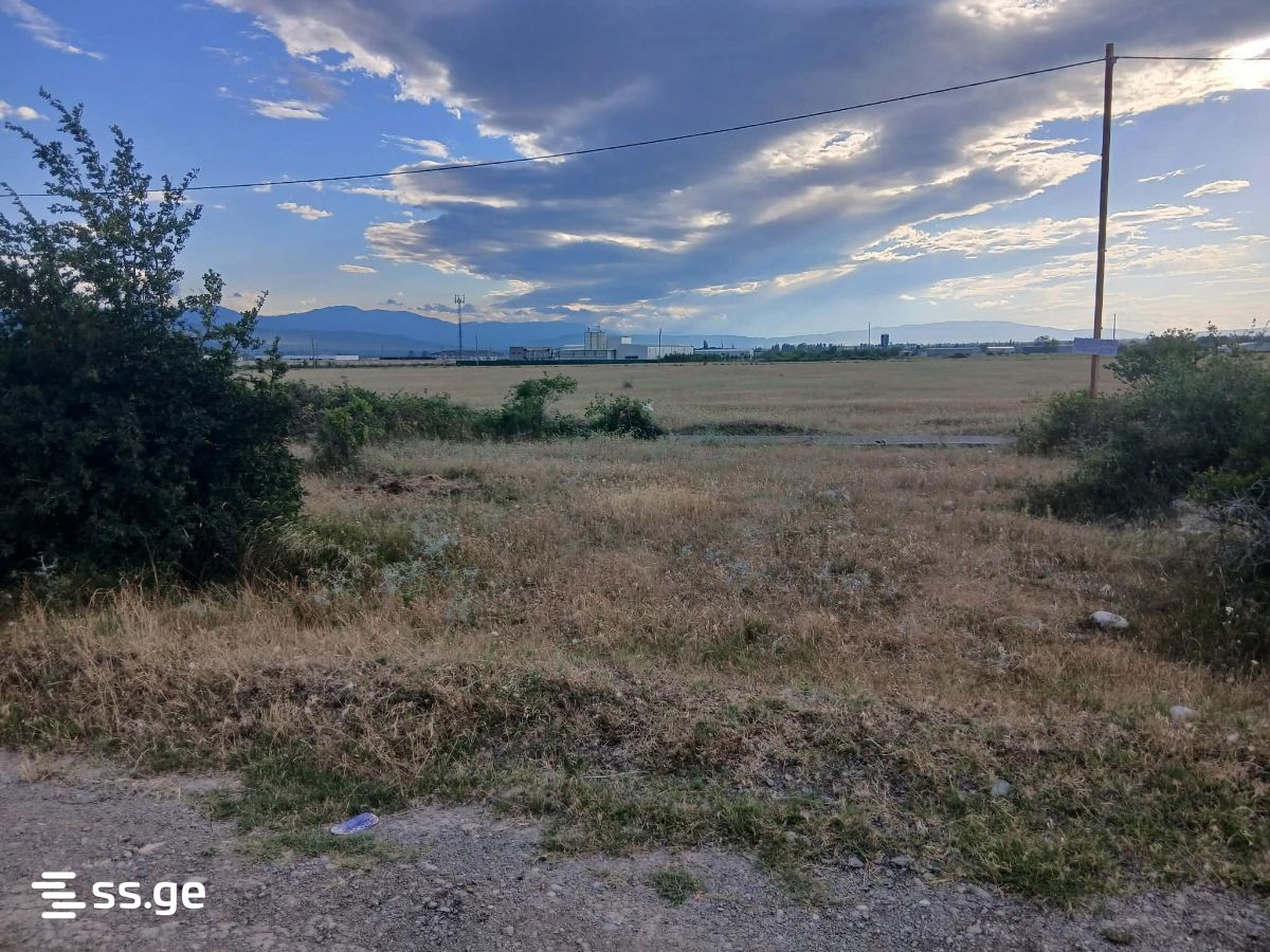 Land For Sale. Natakhtari view 5