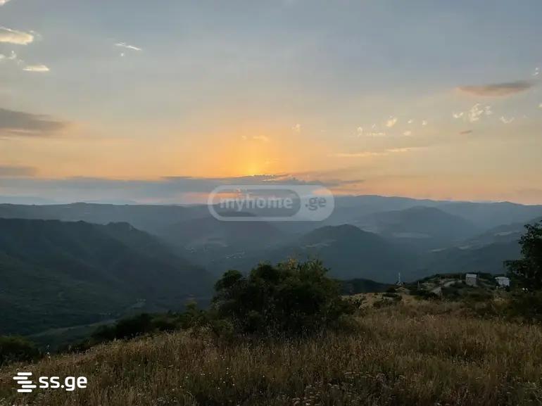 Sklypas, 3246 m²