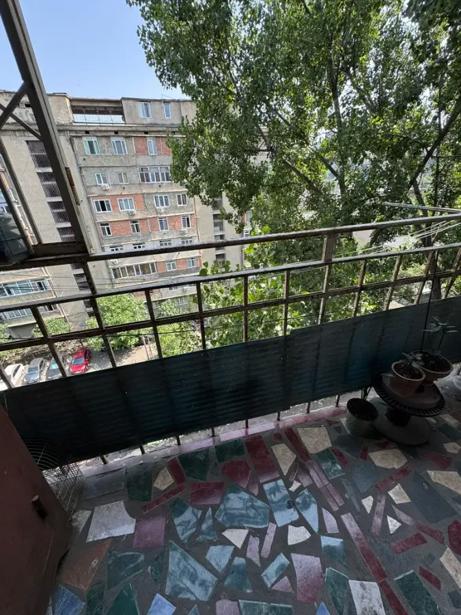 https://static.ss.ge/20260721/13_1fcea399-65fb-4964-b65d-65b2e06fb6d9_Thumb.jpg